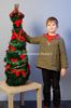 DDREAM-PHOTOS-Arbre-de-Noel-805_Gal.jpg