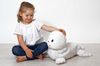 DDREAM-PHOTOS-Peluche-Otarie_Gal.jpg